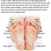 Health Electric Foot Massager Συσκευή Μασάζ Shiatsu Για Πόδια Υπέρυθρη Θερμότητα